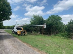 Speedy Tree Services - Farmersville TX