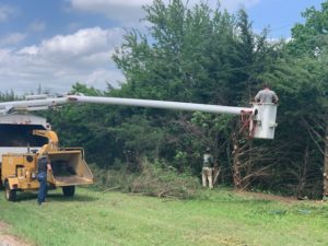 Speedy Tree Services - Farmersville TX