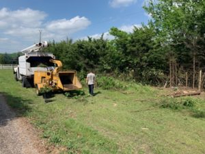 Speedy Tree Services - Farmersville TX