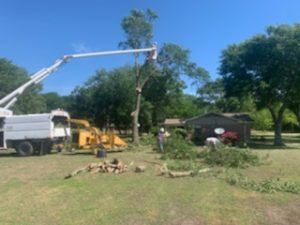Speedy Tree Services - Farmersville TX