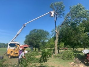 Speedy Tree Services - Farmersville TX