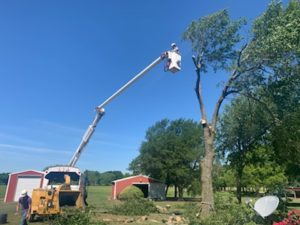 Speedy Tree Services - Farmersville TX