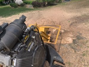 Speedy Tree Services - Farmersville TX