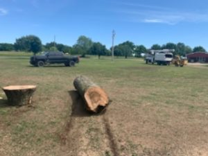 Speedy Tree Services - Farmersville TX