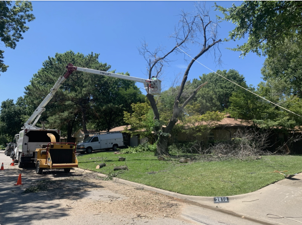 Speedy Tree Services Farmersville TX
